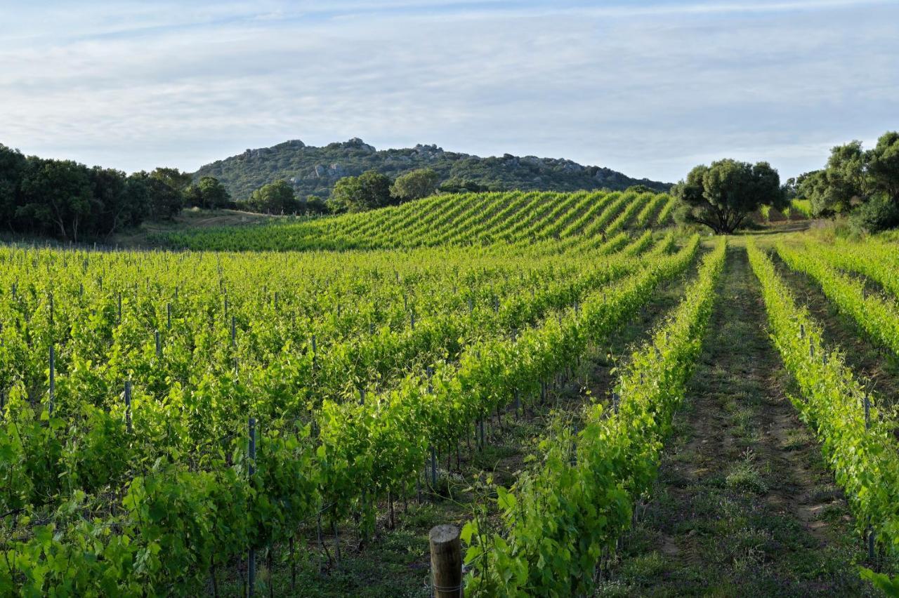 Domaine De Peretti Della Rocca Hotell Figari  Eksteriør bilde